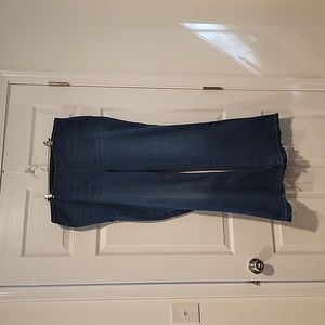 Plus Size Pull-On Flare-Leg Jeans